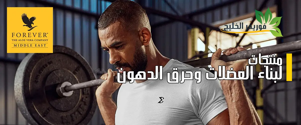 بناء العضلات